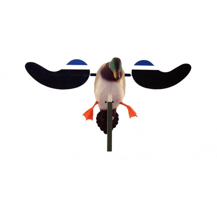 იხვის ფიტული ელექტრო