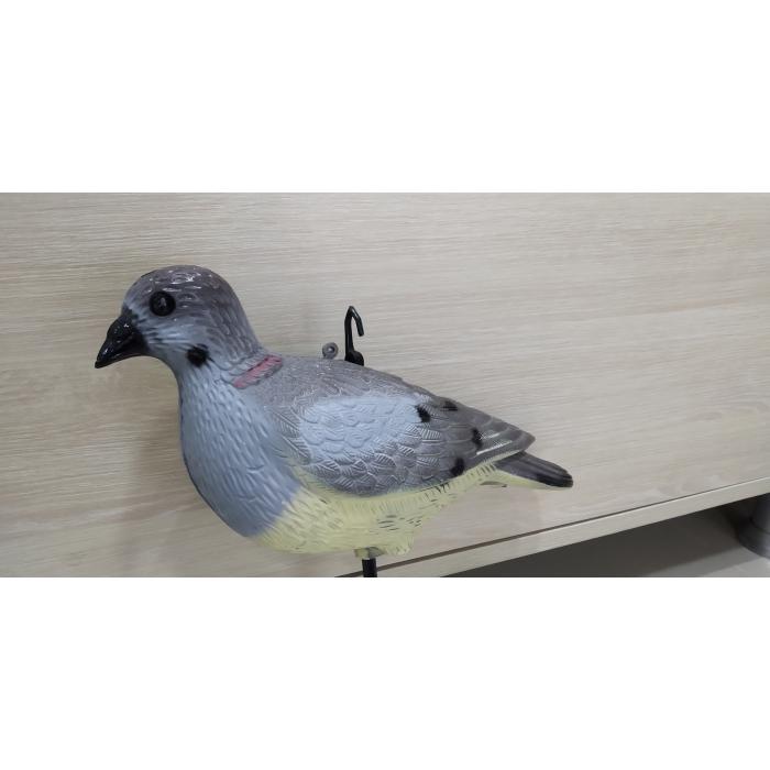 ქედნის ფიტული