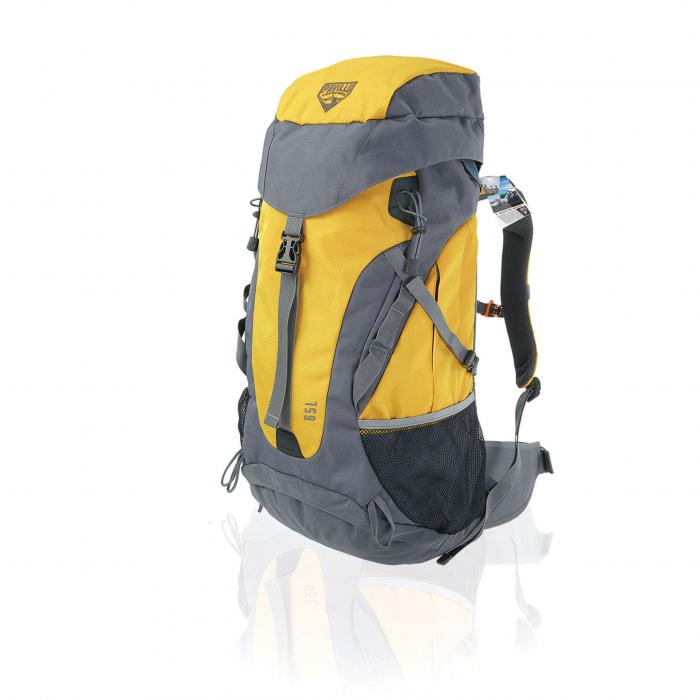 ზურგჩანთა 65 ლიტრიანი Pavillo	